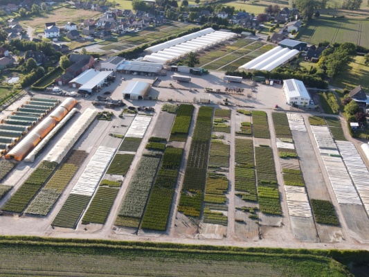 Blick von oben auf unsere Baumschule