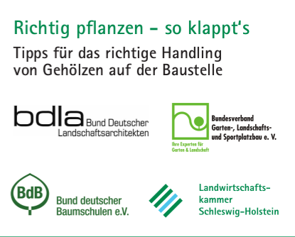 Richtig pflanzen - so klappt's